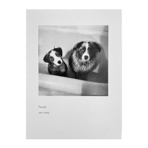 Quote Unquote All Occasions Card by Borealis Press - Picture 7 of 13